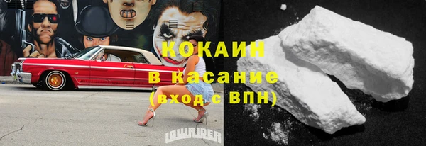 прущие грибы Беломорск
