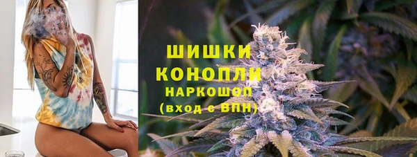 прущие грибы Беломорск