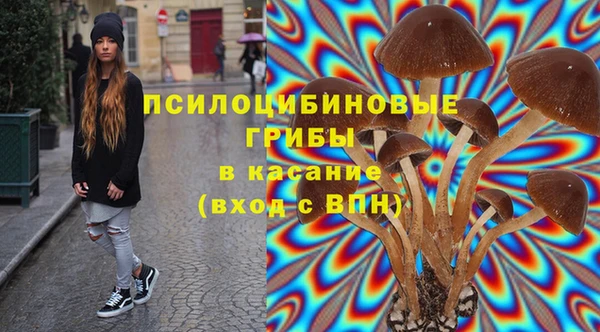 ПСИЛОЦИБИНОВЫЕ ГРИБЫ Снежногорск
