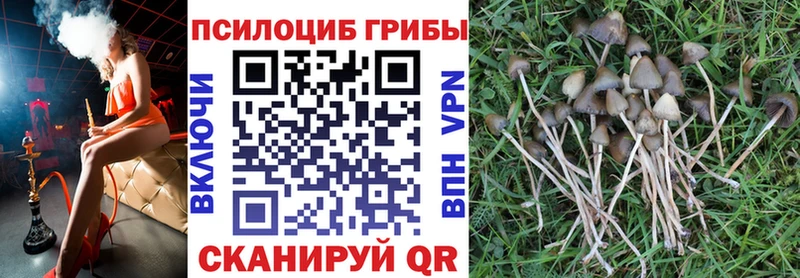 Галлюциногенные грибы мицелий  Емва 